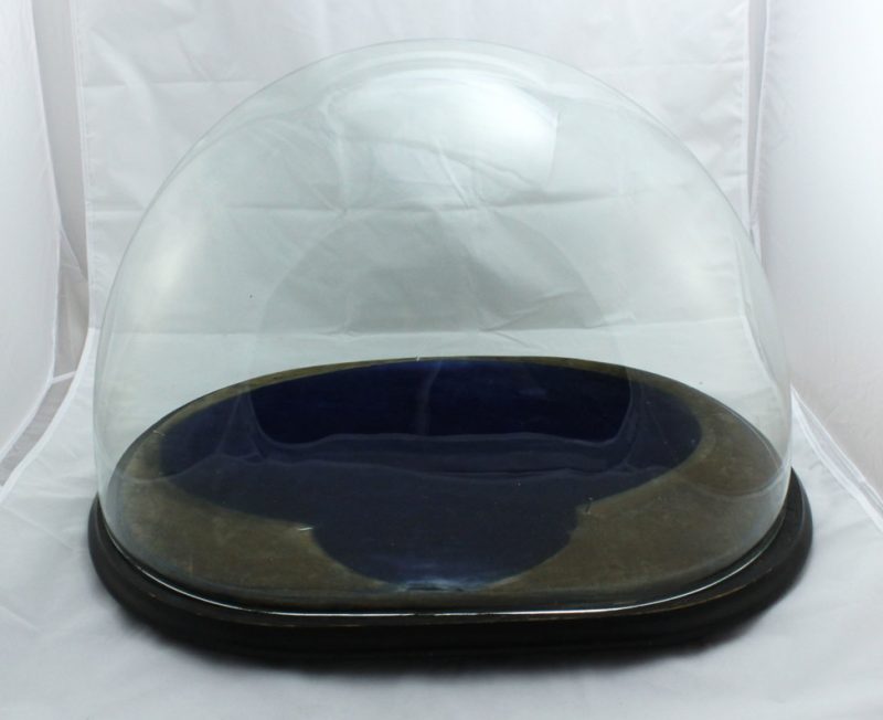 Large glass dome with base Hahnemann House Trust